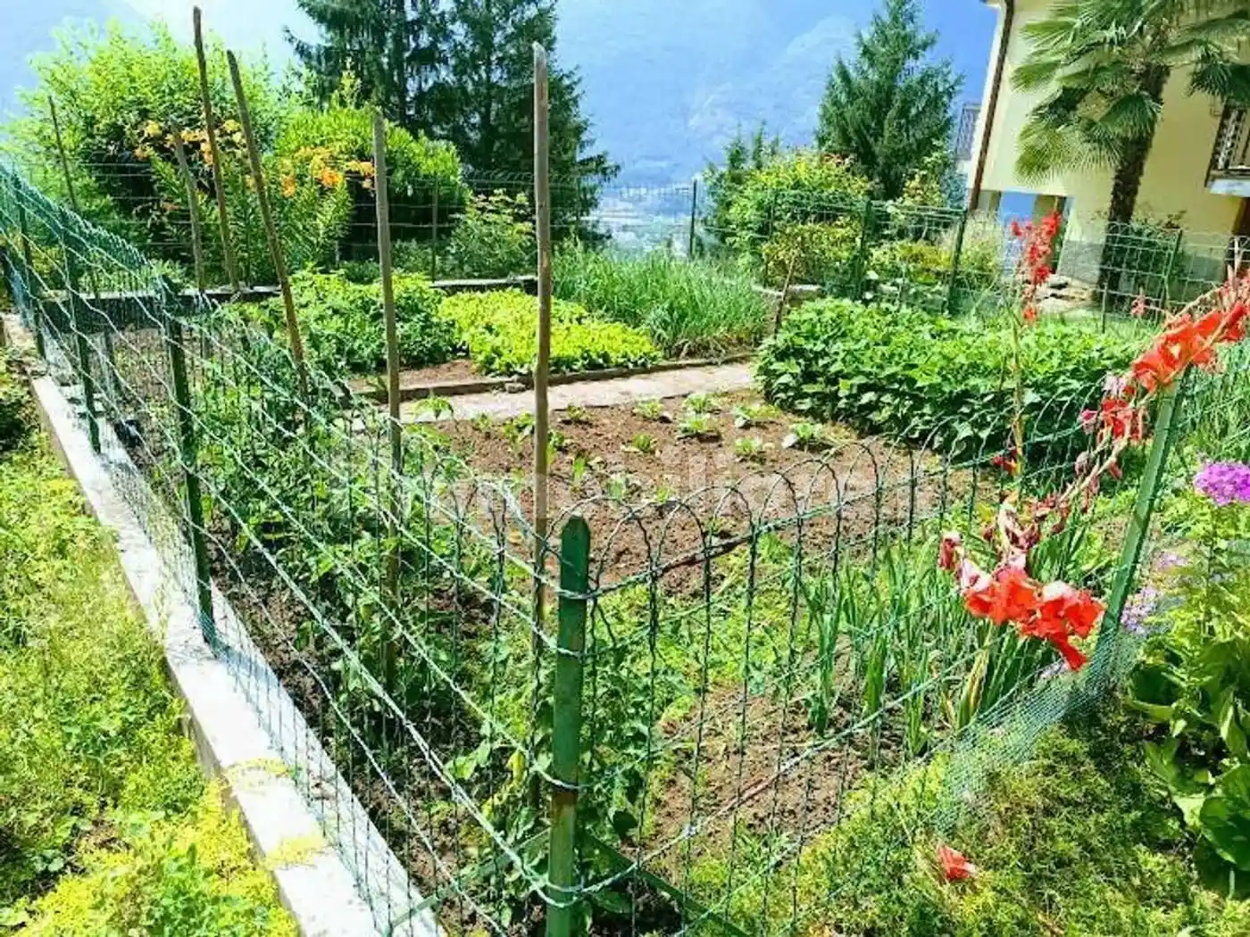 Villa unifamiliare piazza Della Chiesa San C., Chiesa, Beura-Cardezza - foto 3