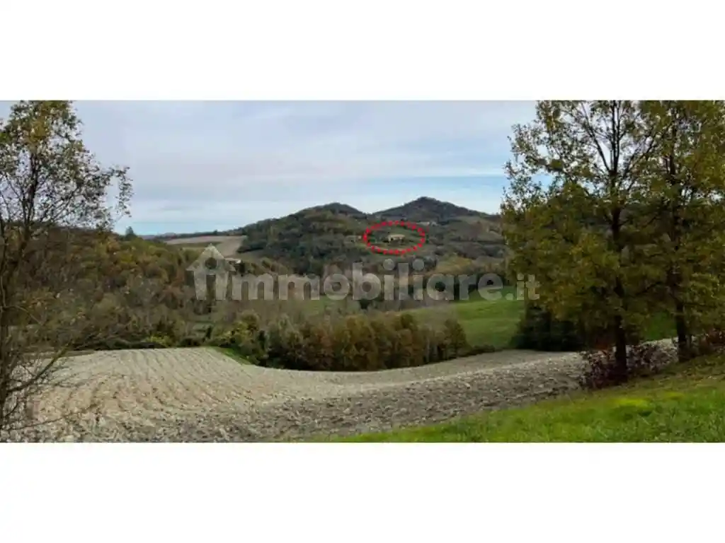 Casa indipendente all'asta Cascina Casa del Rosso, 8, Odalengo Grande - foto 5