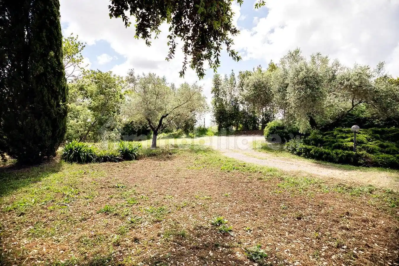 Casale via Bernardino Bolasco, Castel di Guido, Roma - foto 4