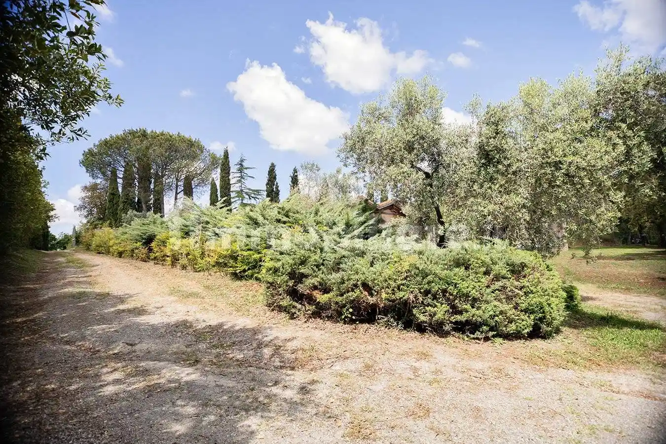 Casale via Bernardino Bolasco, Castel di Guido, Roma - foto 5