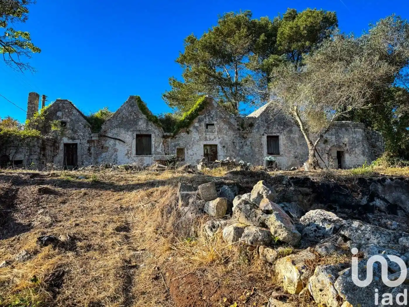 Villa in vendita a Martina Franca