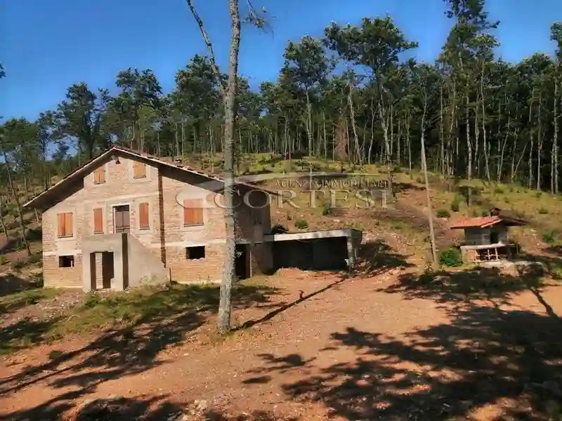 Rustico - Casale - foto 4