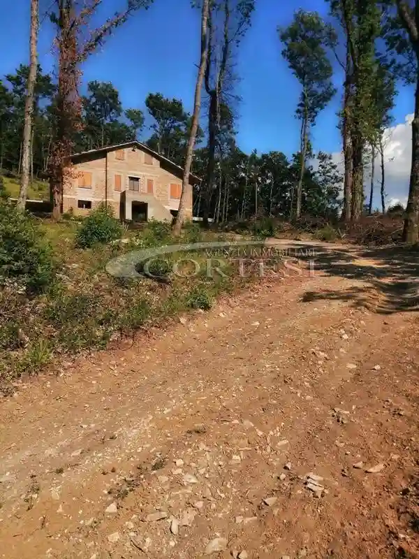 Rustico - Casale - foto 5