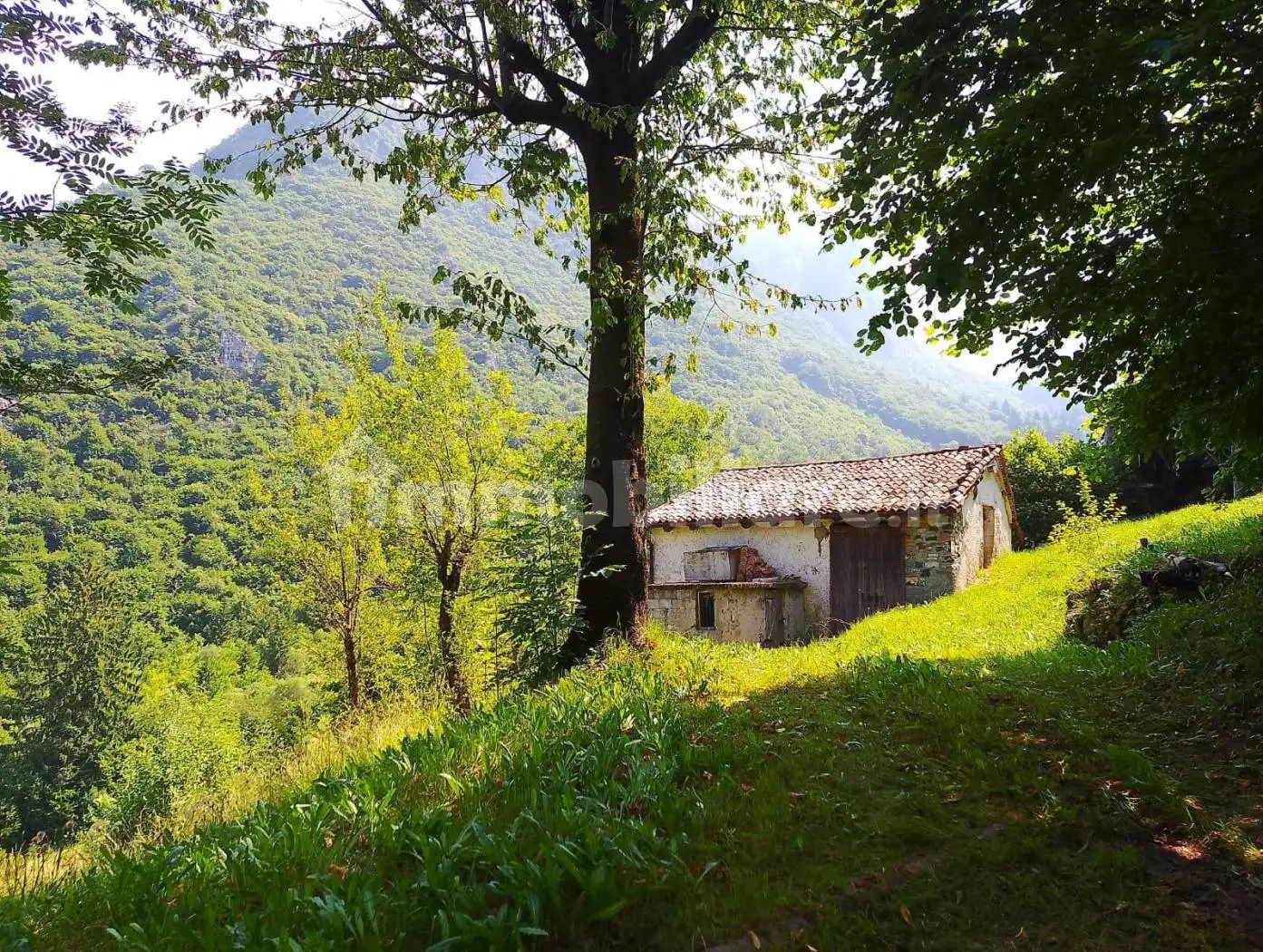 Rustico - Casale in vendita a Zone