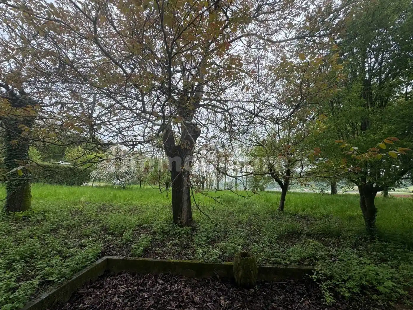 Casale, da ristrutturare, 750 m², Sovizzo - foto 2