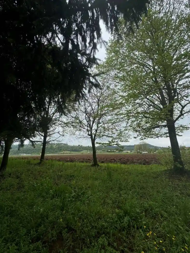 Casale, da ristrutturare, 750 m², Sovizzo - foto 3