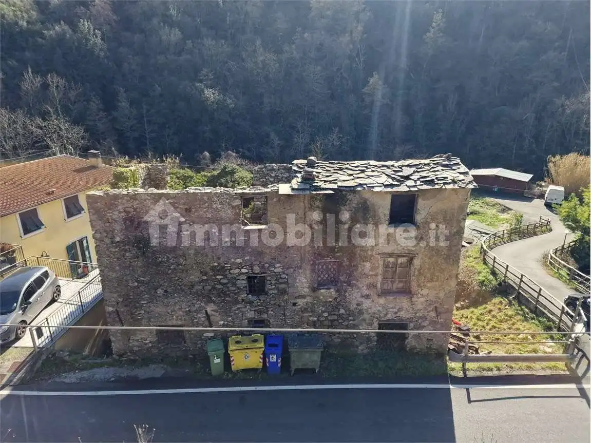 Rustico - Casale in vendita a Ne