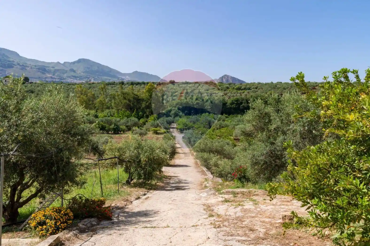 Rustico Strada Provinciale 1 Bis - Contrada Dagala - via della Cartiera 15, Grotte Di Armeta, Zucco, Carini - foto 4