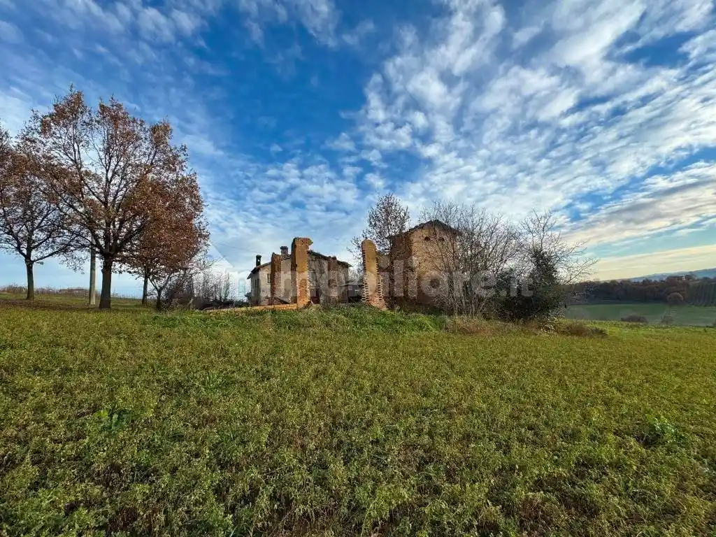 Rustico - Casale in vendita a Castelvetro di Modena