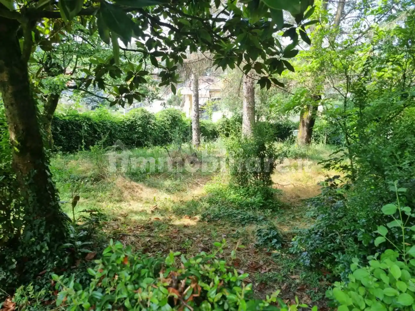 Terratetto unifamiliare 180 m², da ristrutturare, Valmadonna, Alessandria - foto 4