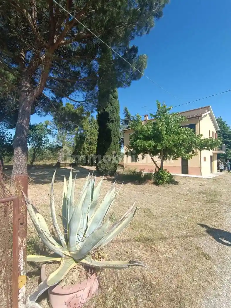 Terratetto unifamiliare via Belveduto, San Fatucchio, Castiglione del Lago - foto 4