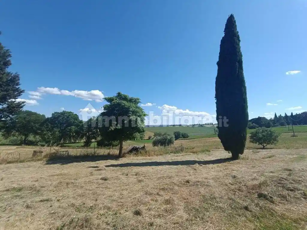 Terratetto unifamiliare via Belveduto, San Fatucchio, Castiglione del Lago - foto 5