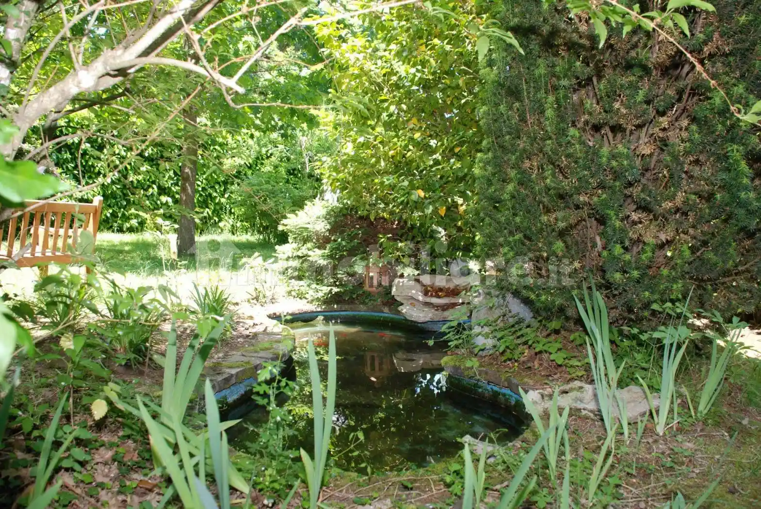 Villa unifamiliare Strada Provinciale Cassia Cimina, Canepina - foto 4