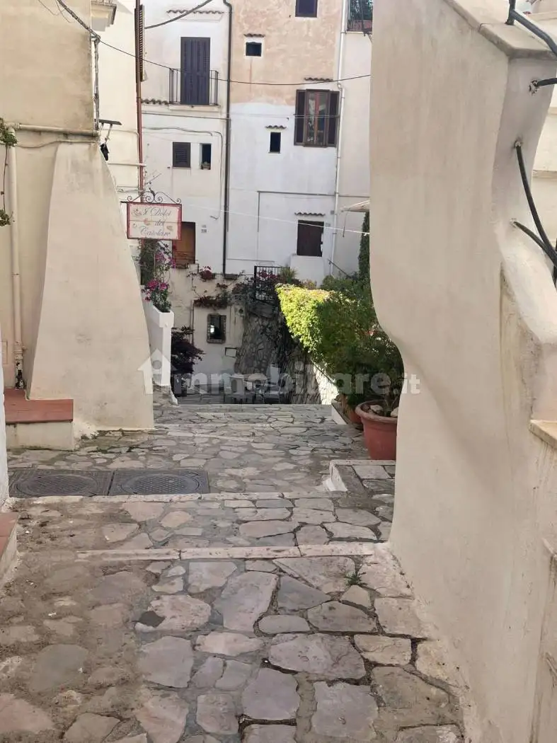 Appartamento in affitto a Sperlonga