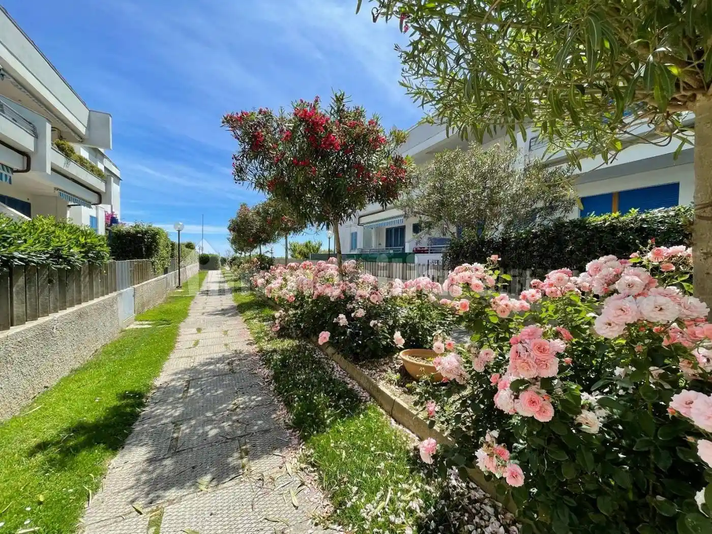 Monolocale Lungomare Europa, Villa Rosa, Martinsicuro - foto 2