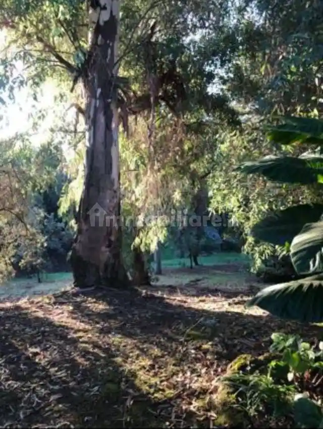 Villa unifamiliare via Sacrofanese, Tiberina, Roma - foto 2