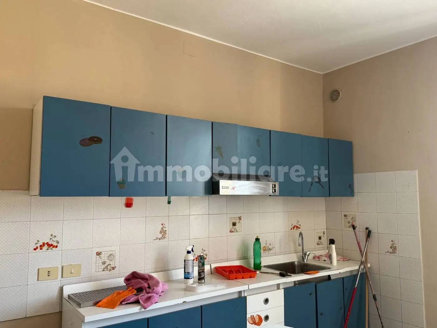 Appartamento in affitto a Sissa Trecasali