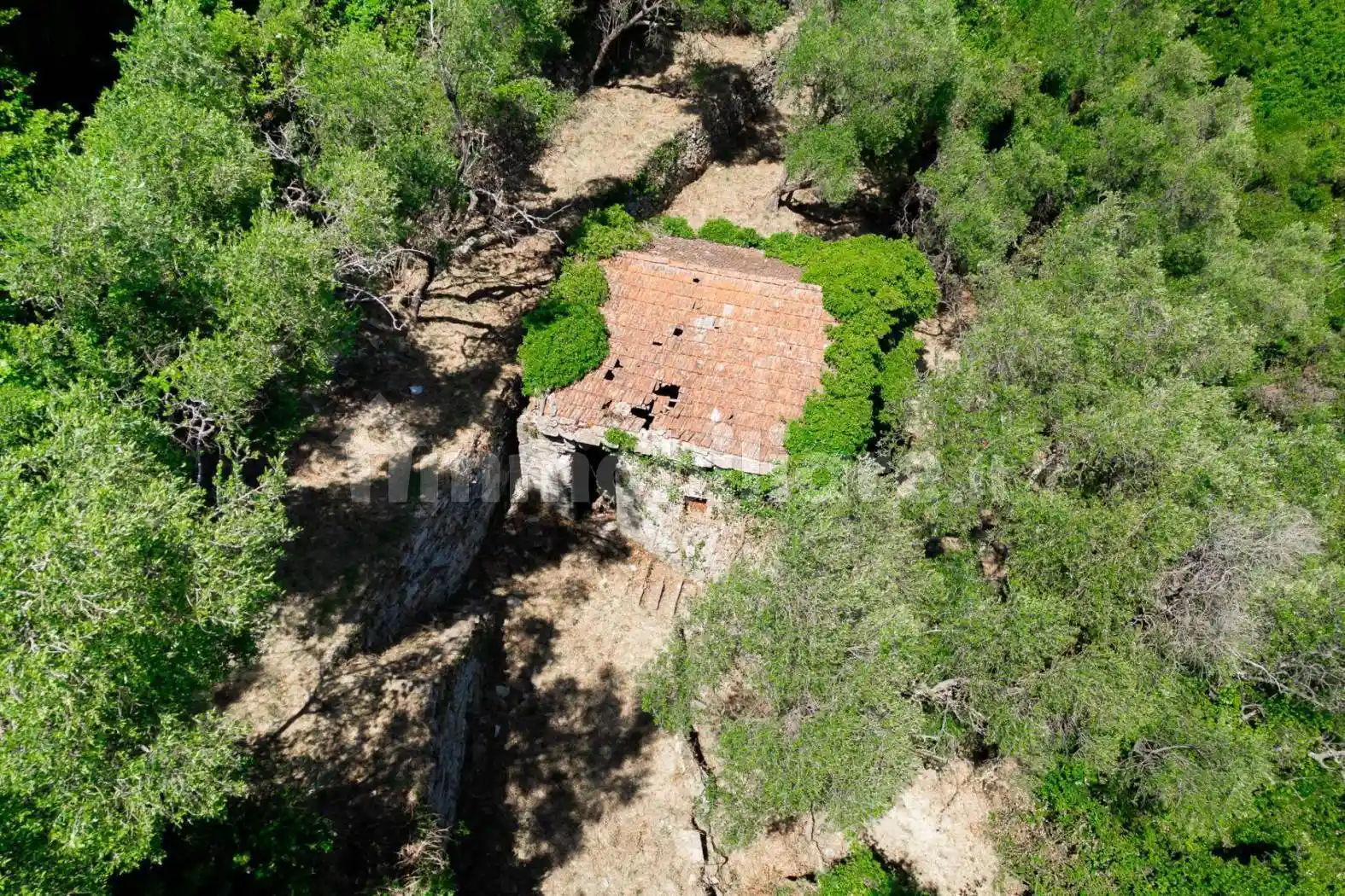 Rustico - Casale in vendita a Zoagli