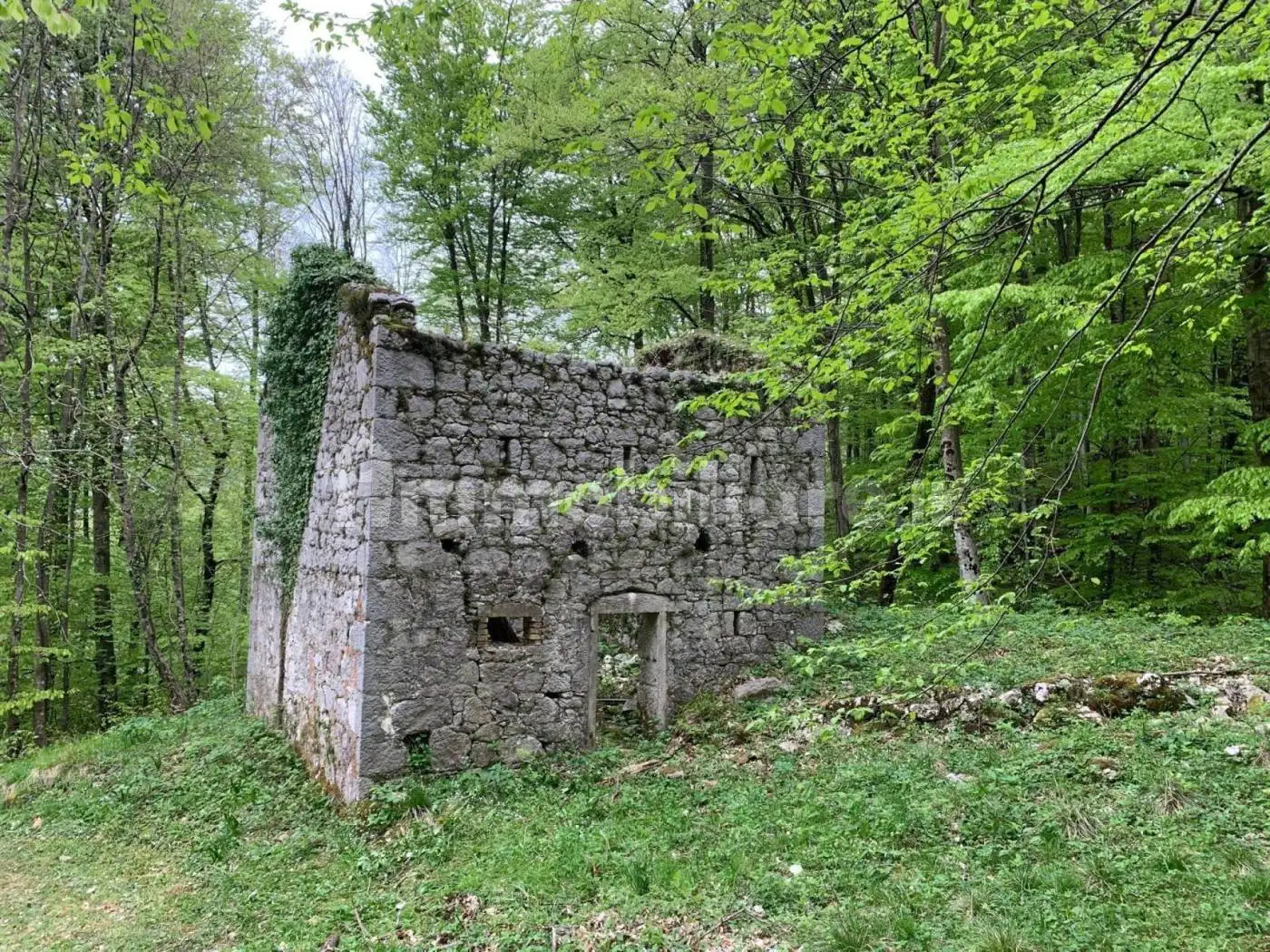 Rustico 6032 m², Centro, Clauzetto - foto 4