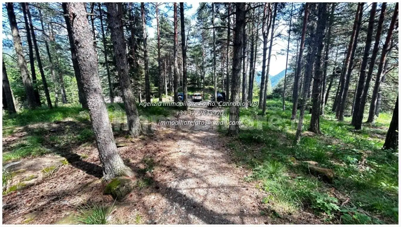 Villa bifamiliare Strada Provinciale della Valle Cannobina, Valle Cannobina - foto 3