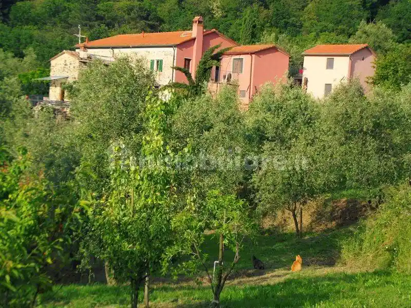 Rustico - Casale in vendita a Fosdinovo