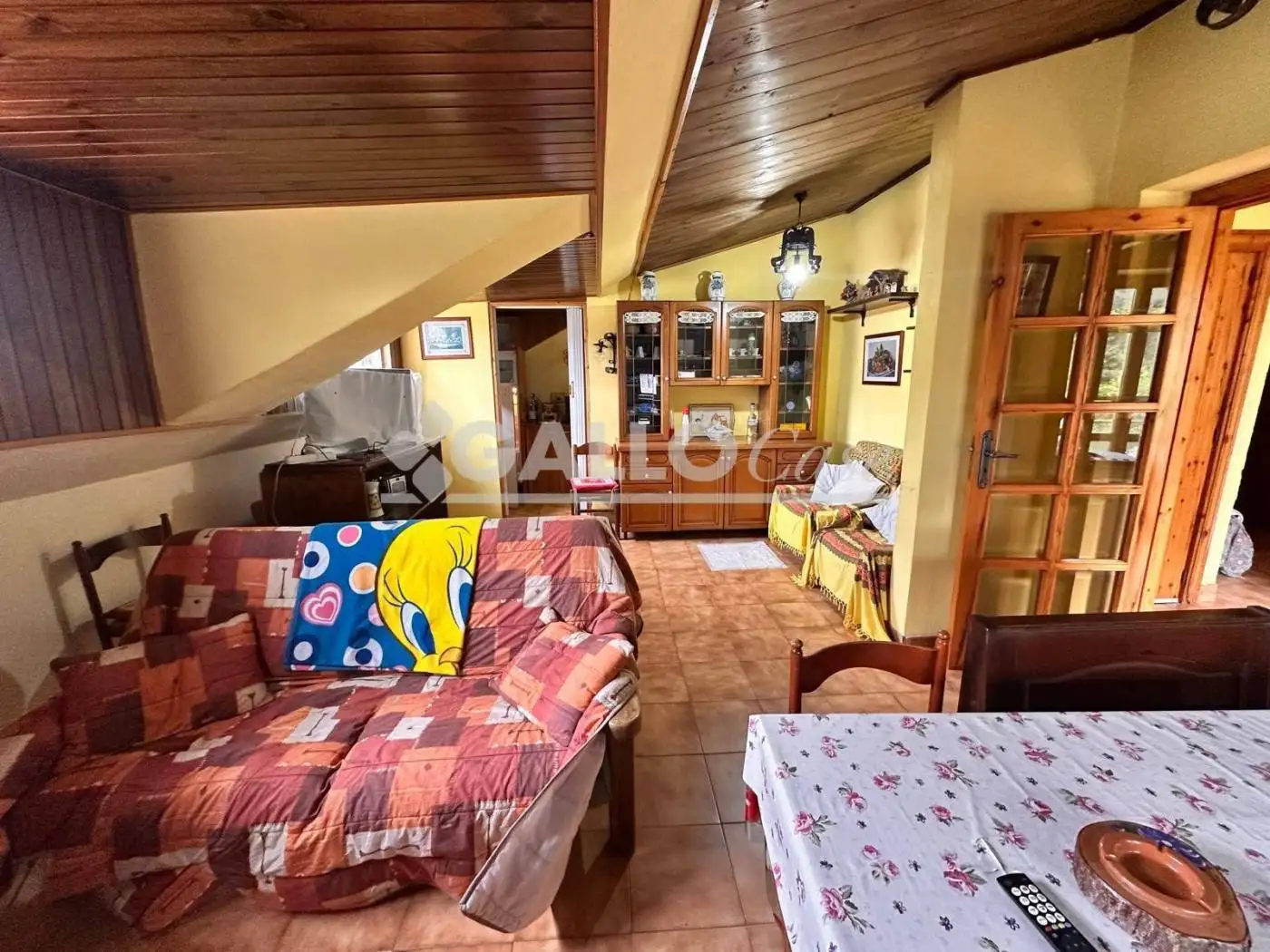 Appartamento in vendita a Spezzano della Sila