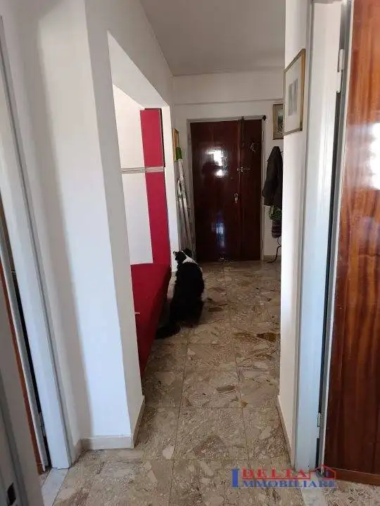 Trilocale buono stato, quarto piano, Rosignano Solvay, Rosignano Marittimo - foto 3