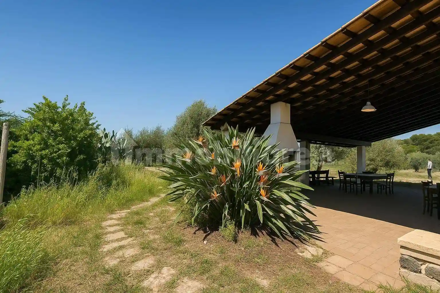 Rustico - Casale - foto 3