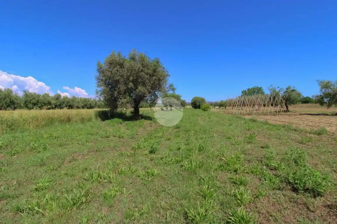 Rustico Località Coste Lanciano, Roseto degli Abruzzi - foto 5
