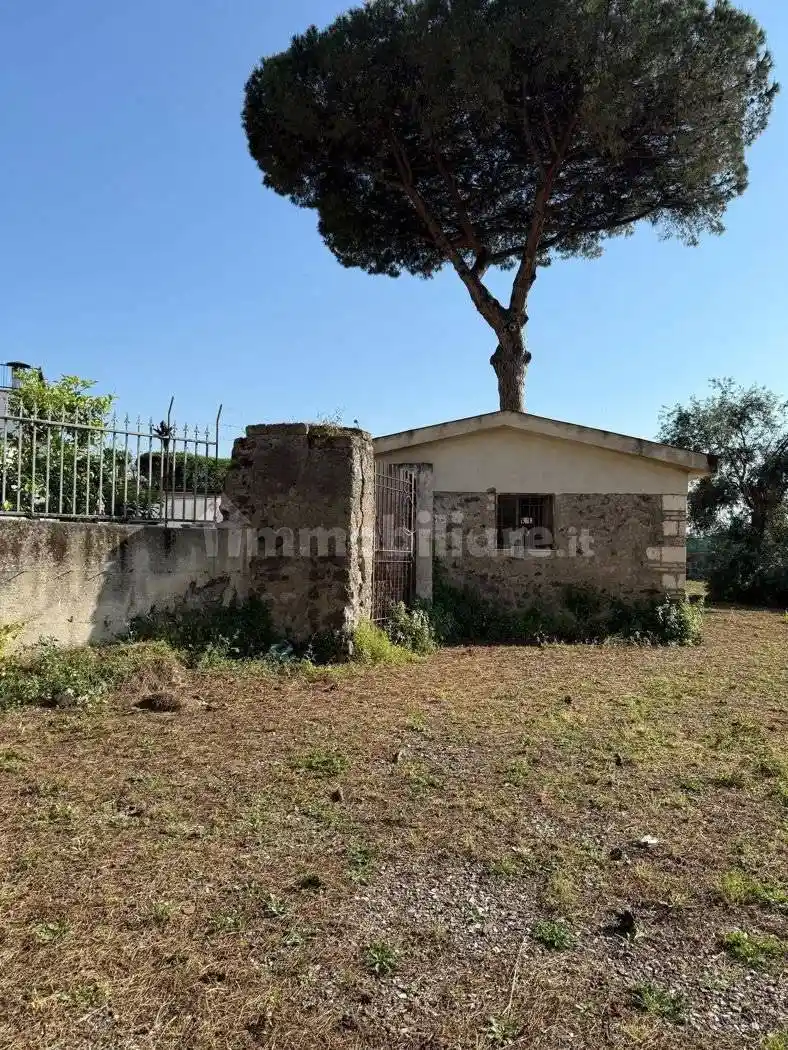 Palazzo - Edificio - foto 3