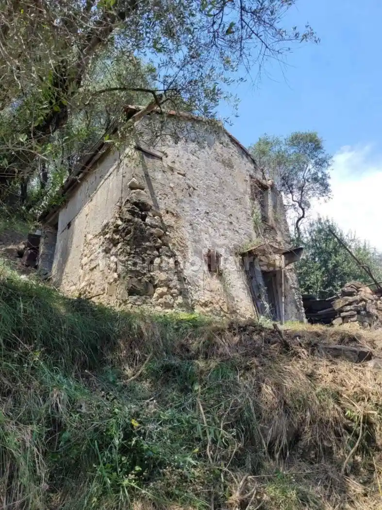 Rustico via Val D'Olivi 185, Poggio, Sanremo - foto 4