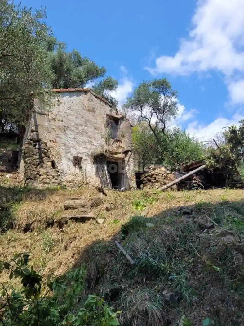 Rustico via Val D'Olivi 185, Poggio, Sanremo - foto 5