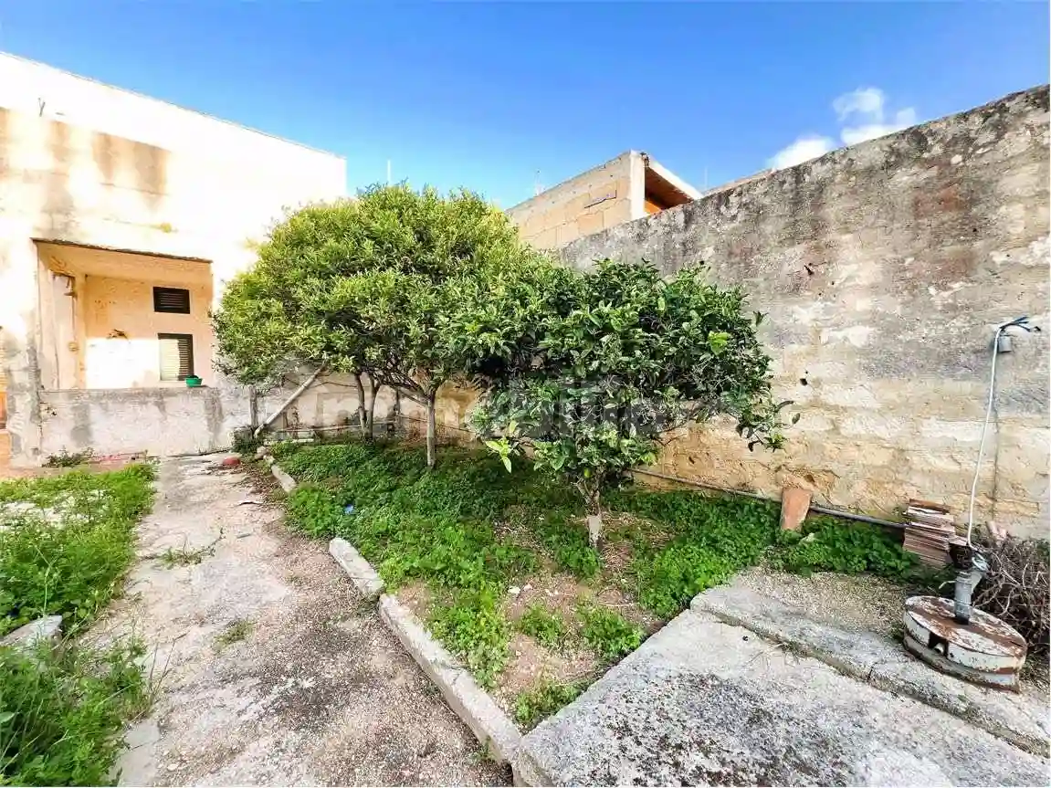 Palazzo - Edificio - foto 4