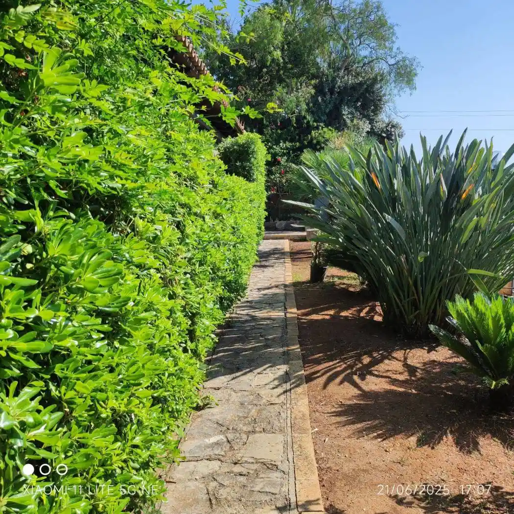 Villa in vendita a Menfi