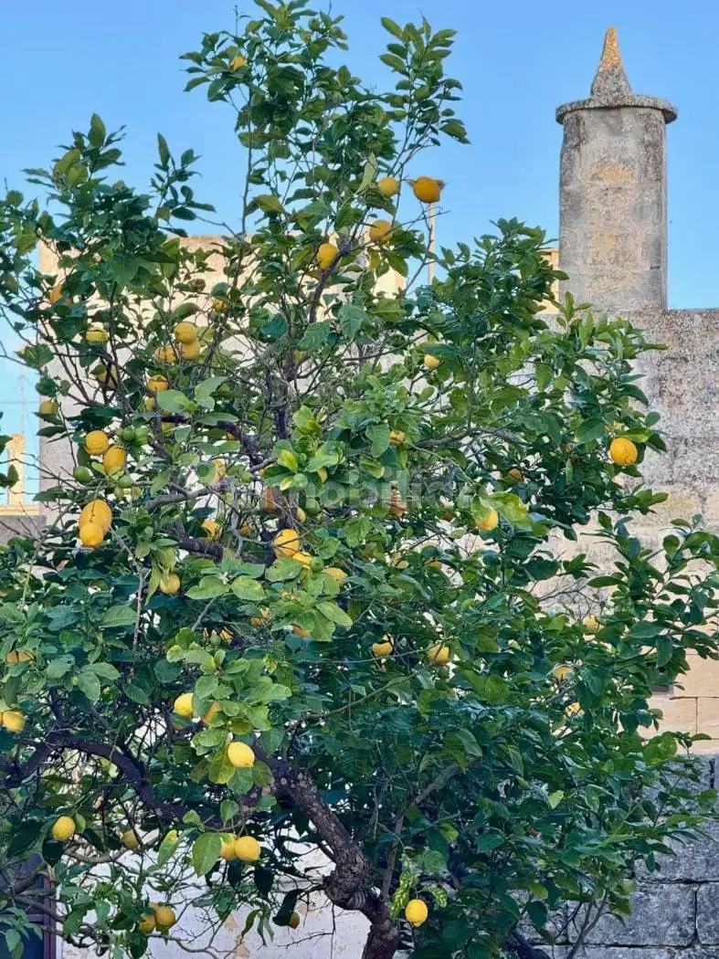 Villa unifamiliare via Vincenzo Papaleo 17, Bagnolo del Salento - foto 3