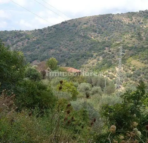 Rustico - Casale in vendita a San Mauro Cilento