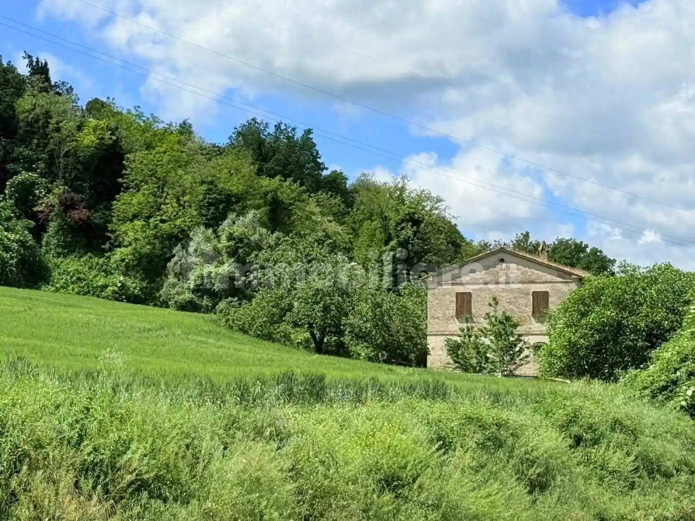 Rustico - Casale in vendita a Fossombrone
