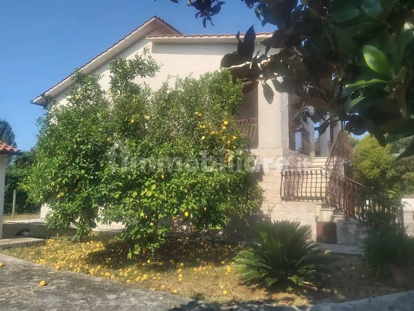 Villa unifamiliare Strada Macchia Grande, Borgo Santa Maria, Latina - foto 5
