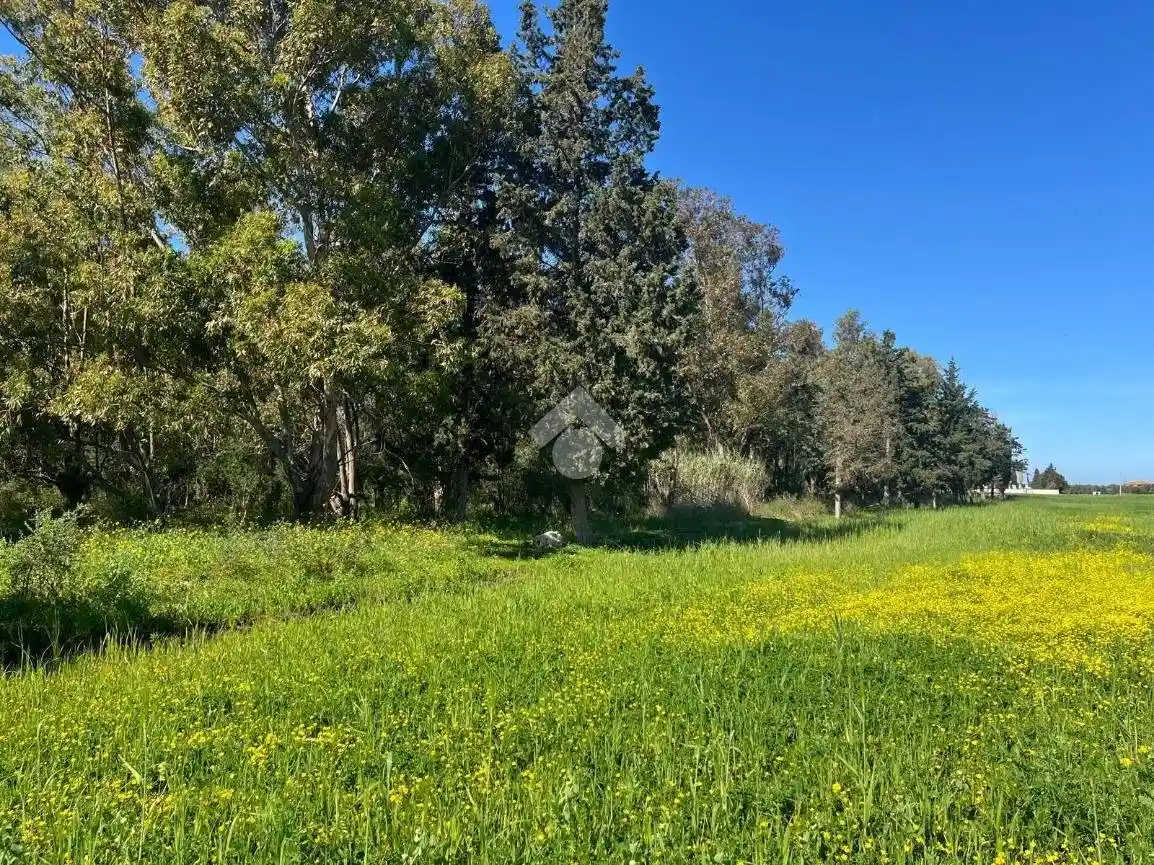 Villa unifamiliare Ss 16, Montenegro, Brindisi - foto 5