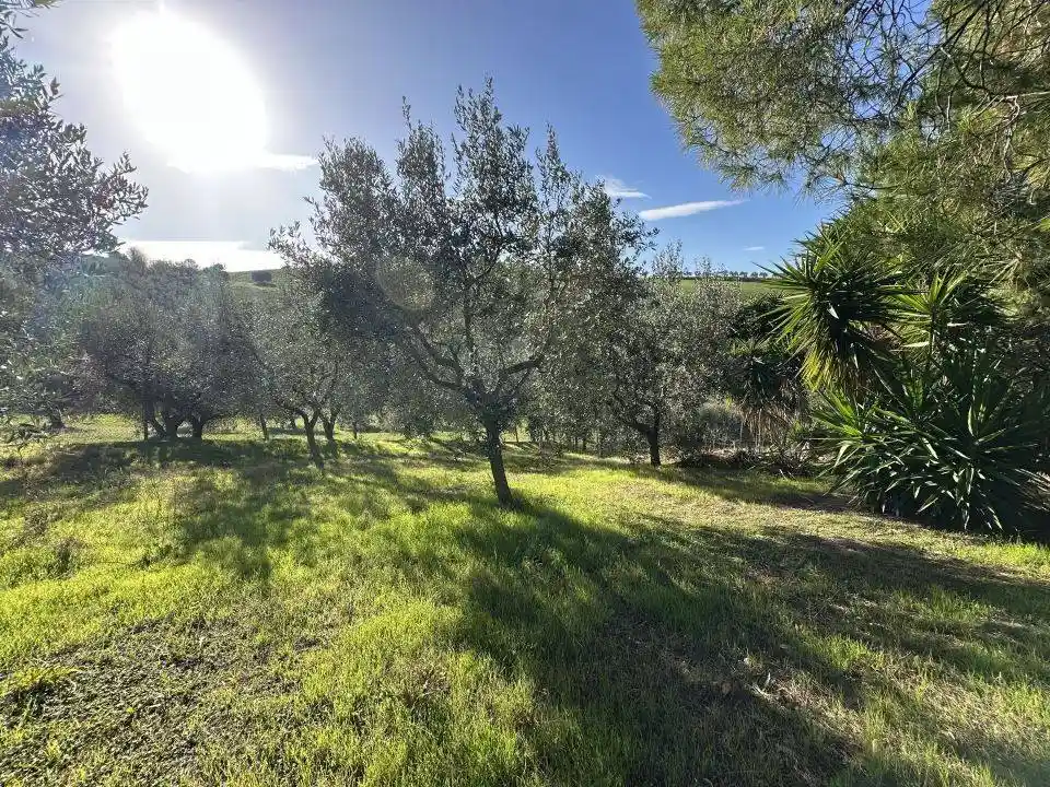 Villa unifamiliare via Case Bruciate 12, Roseto degli Abruzzi - foto 5