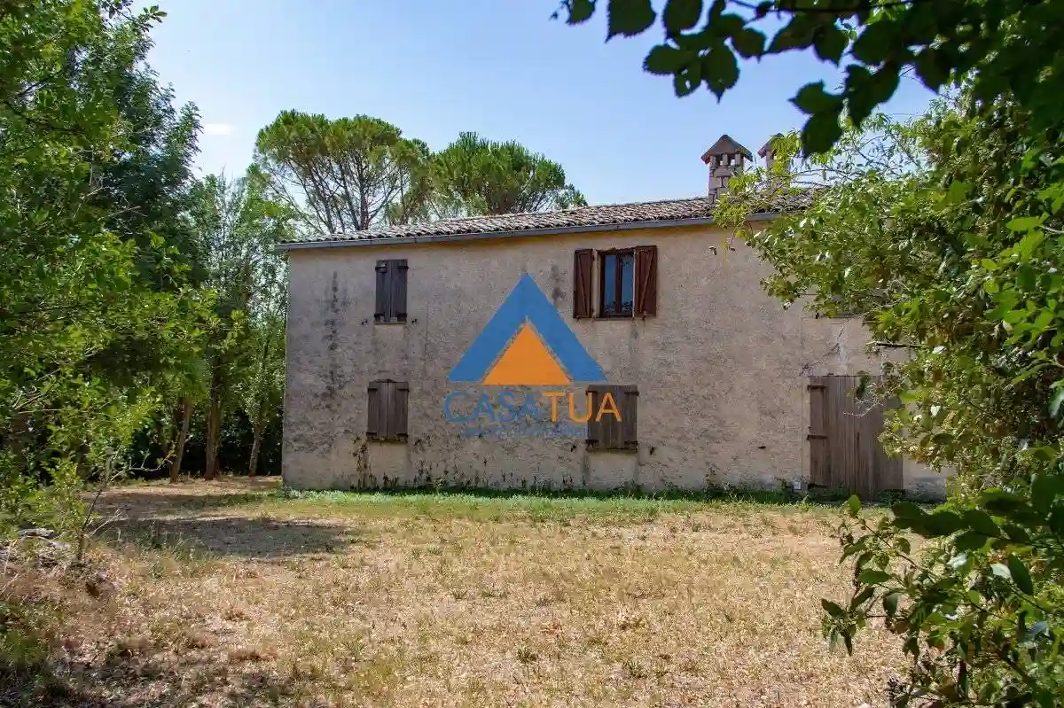 Rustico - Casale - foto 4