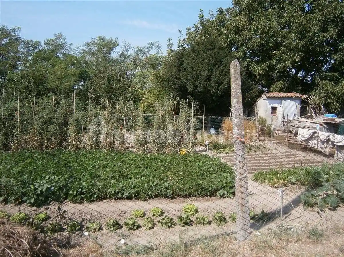 Rustico VILLAMARZANA via Gramsci, 16, Villamarzana - foto 2