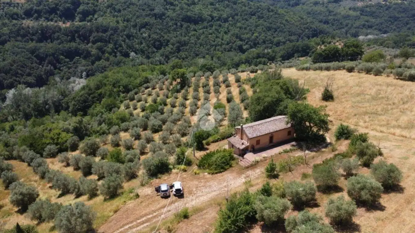 Rustico Località Valle forcana, Centro, Casaprota - foto 2