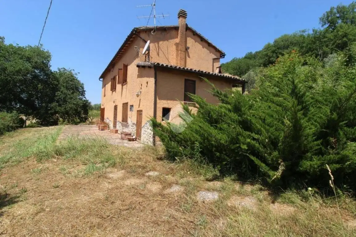 Rustico Località Valle forcana, Centro, Casaprota - foto 4