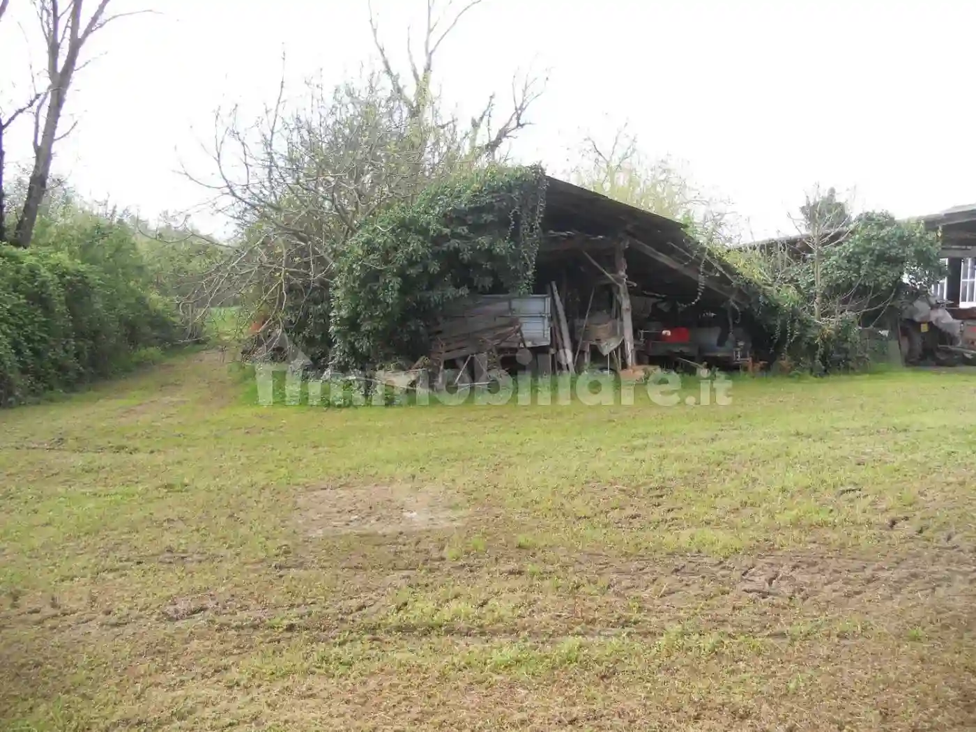 Rustico - Casale - foto 5