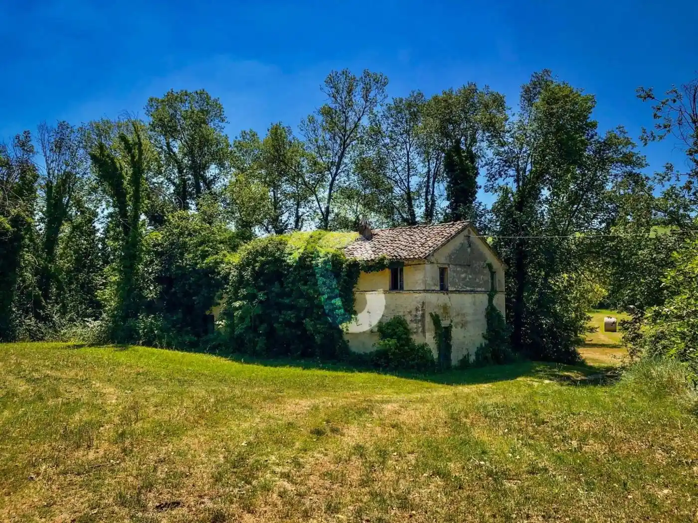 Rustico - Casale in vendita a Trecastelli