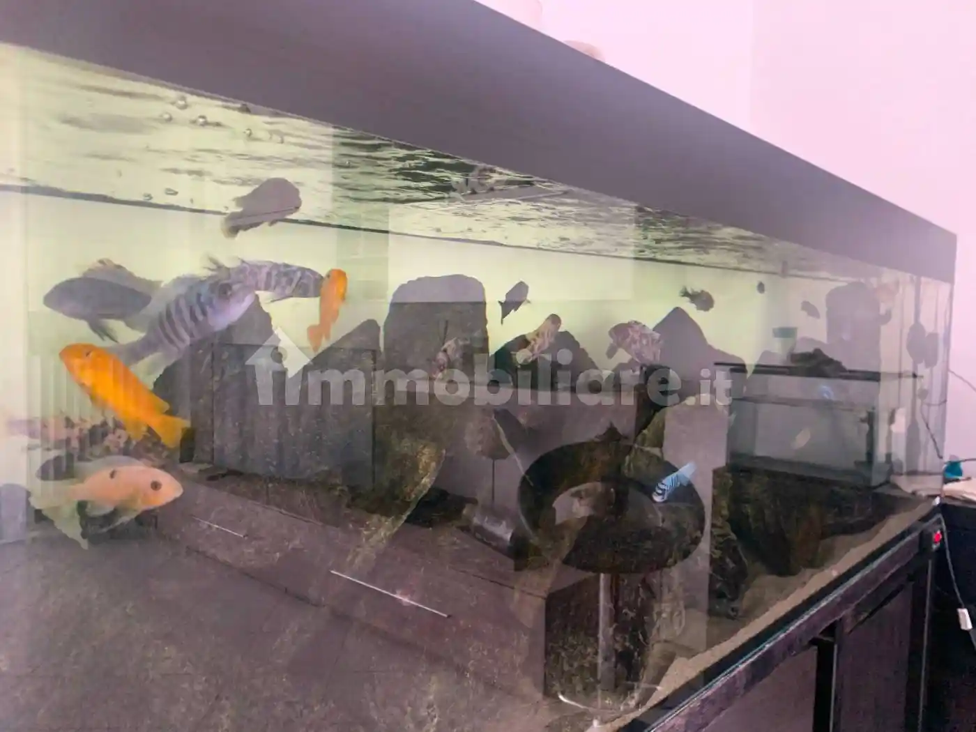 Quadrilocale via Amilcare Ponchielli, Miralfiore, Pesaro - foto 4