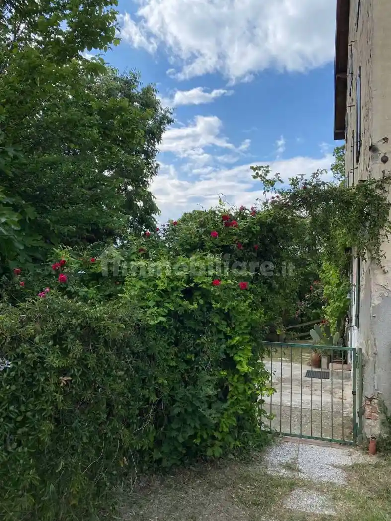 Rustico via Casale 7, Montelungo, Pianoro - foto 5