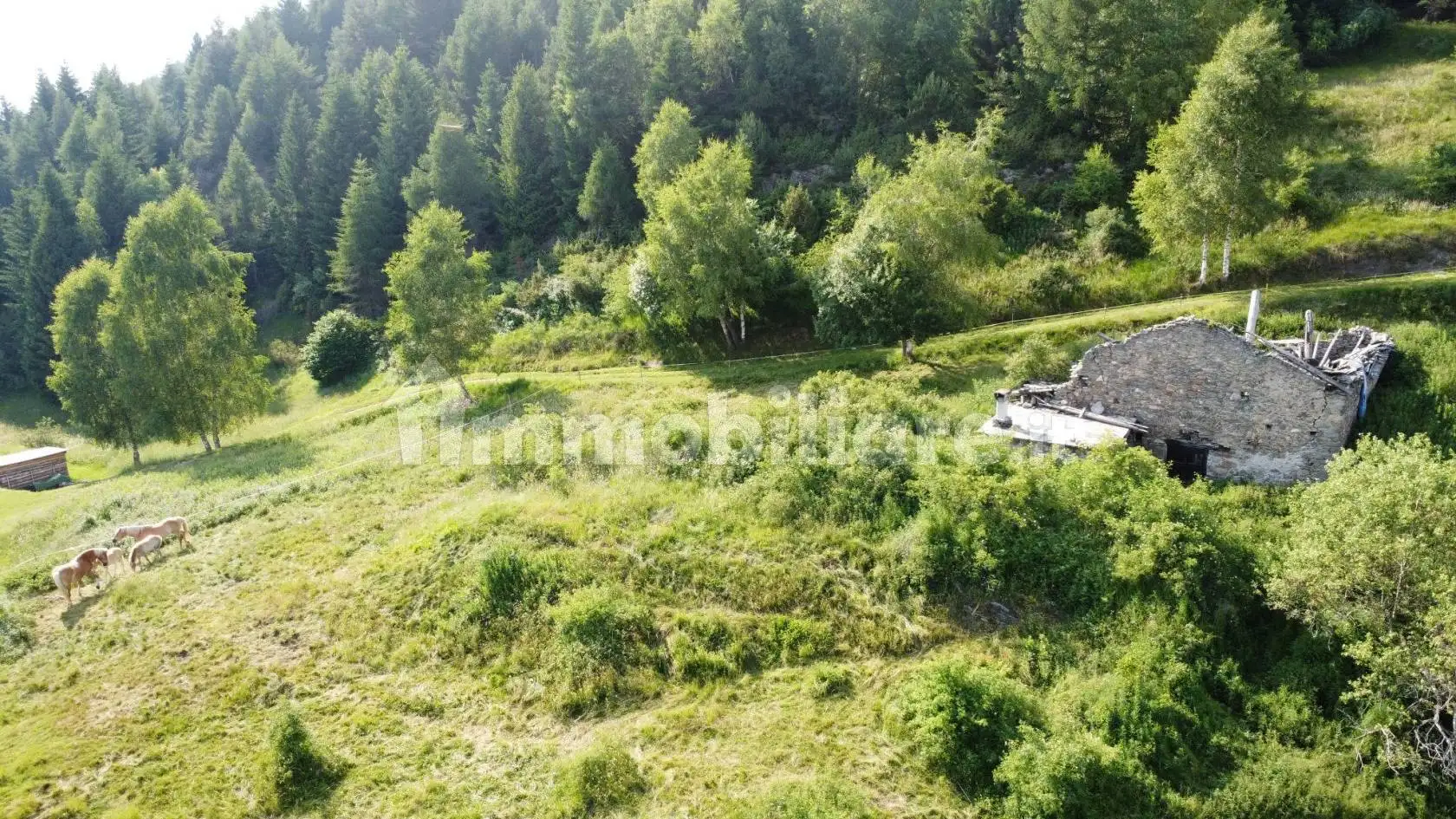 Baita, da ristrutturare, 100 m², Corteno Golgi - foto 2