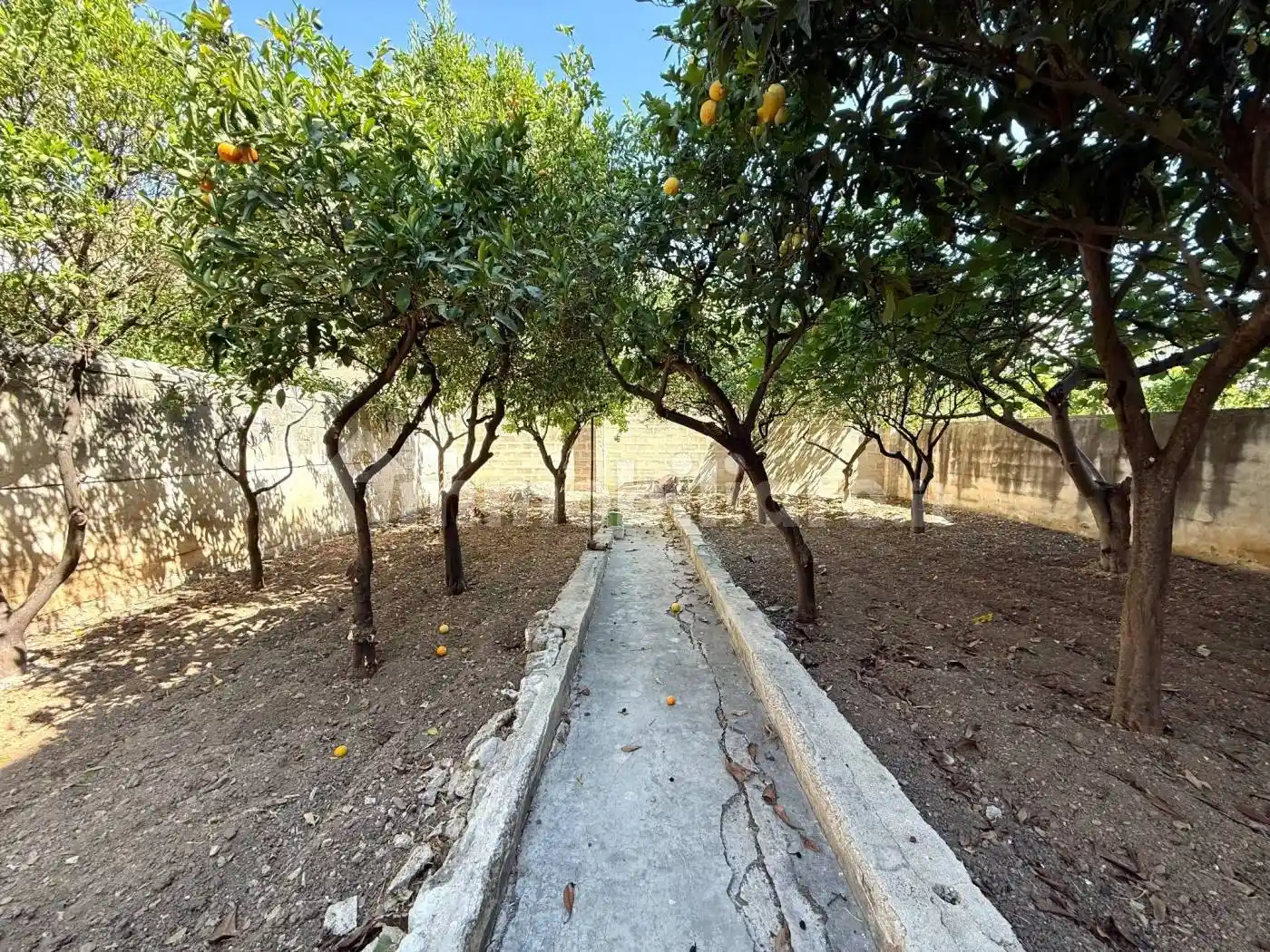 Appartamento in vendita a Valenzano